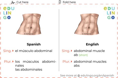 Abs Is Spanish