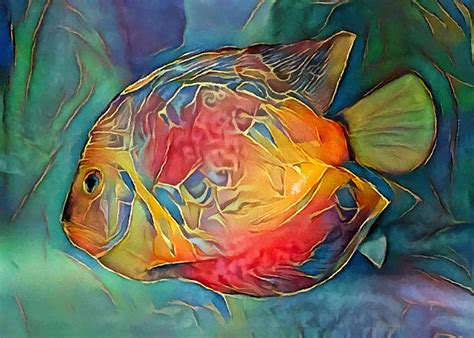 abstract fish artwork