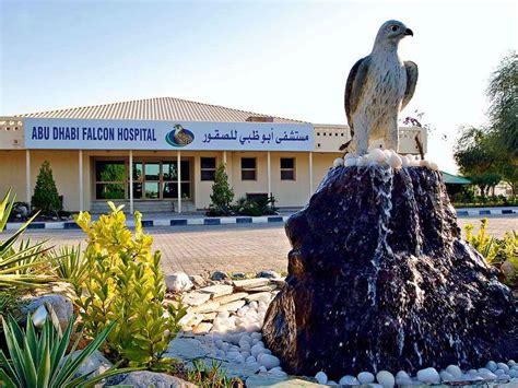 abu dhabi falcon hospital wikipedia