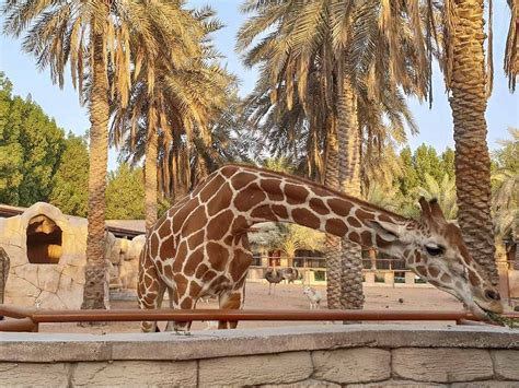 abu dhabi zoo park