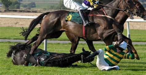 abuse in horse racing