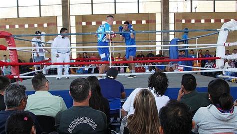 academias de boxeo arica