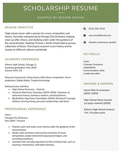 academic cv for scholarship