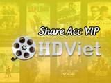 vietsinhvienit acc vip