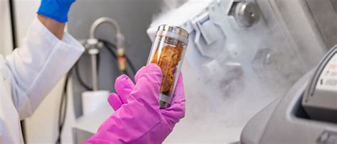 Accelerated Shelf Life Testing Procedure