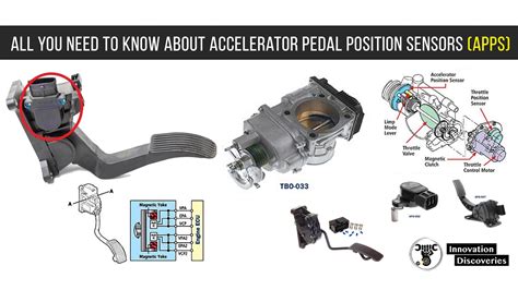 Accelerator Pedal Position Sensor D