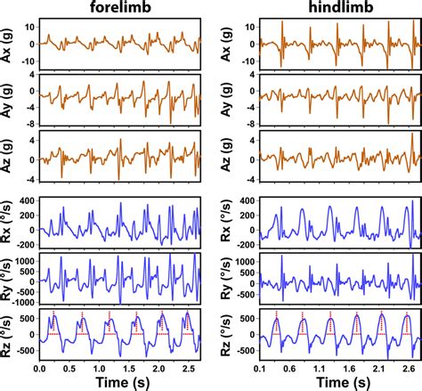 Accelerometer Sensor Readings