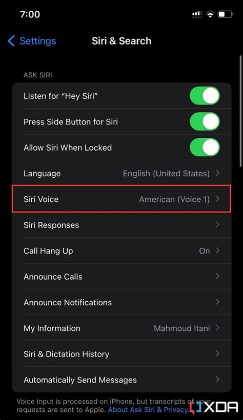 accent on siri