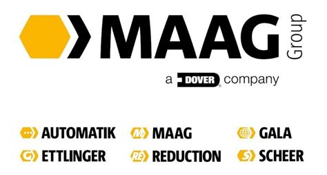 accenture maag group companies