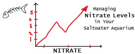 acceptable amount of nitrates in tank water