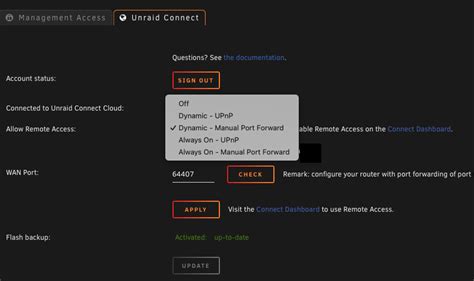 access unraid remotely