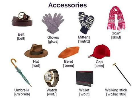 Accessory Meaning With Examples