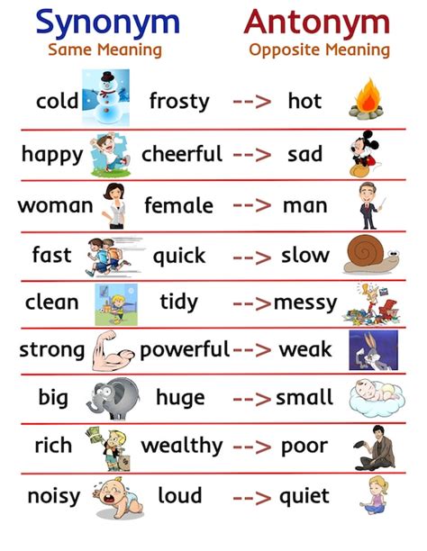 Accessory Synonym And Antonym