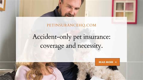 accident only pet insurance