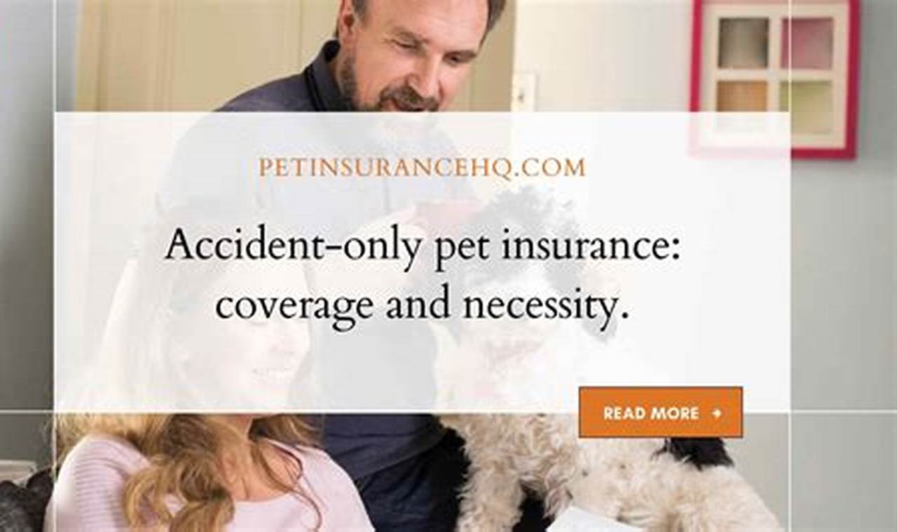 accident only pet insurance
