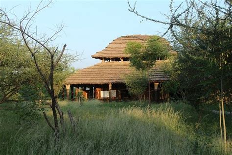 accommodation Awash National Park