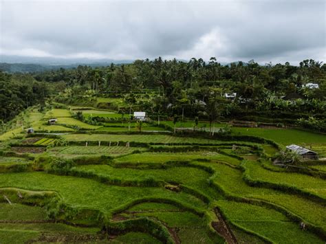 accommodation choices Tetebatu