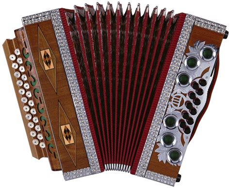 Accordion Like Instruments