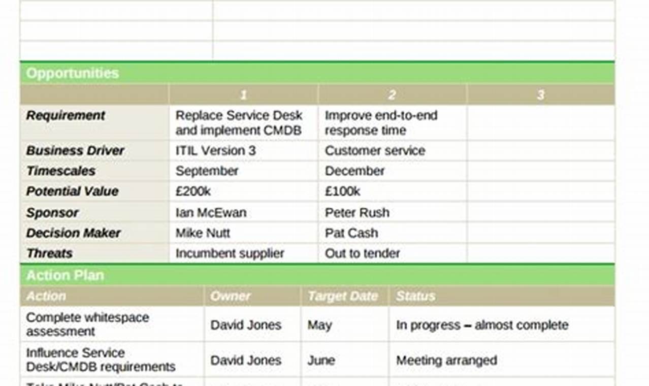 Account Plan Template