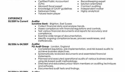 Professional Cv For Auditor - Auditor Resume Sample Guide 20 Examples