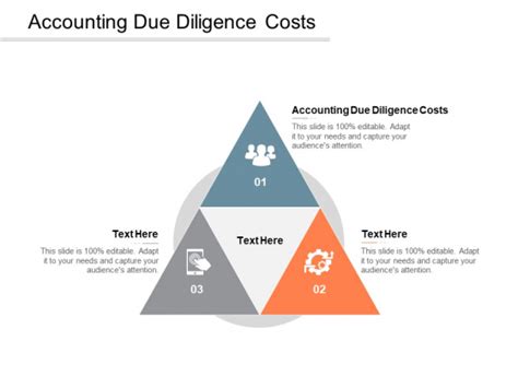 accounting due diligence costs