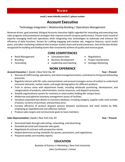 Executive Resume Template for Microsoft Word