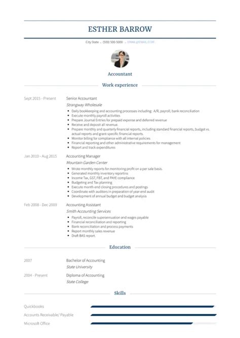 accounts payable profile summary examples