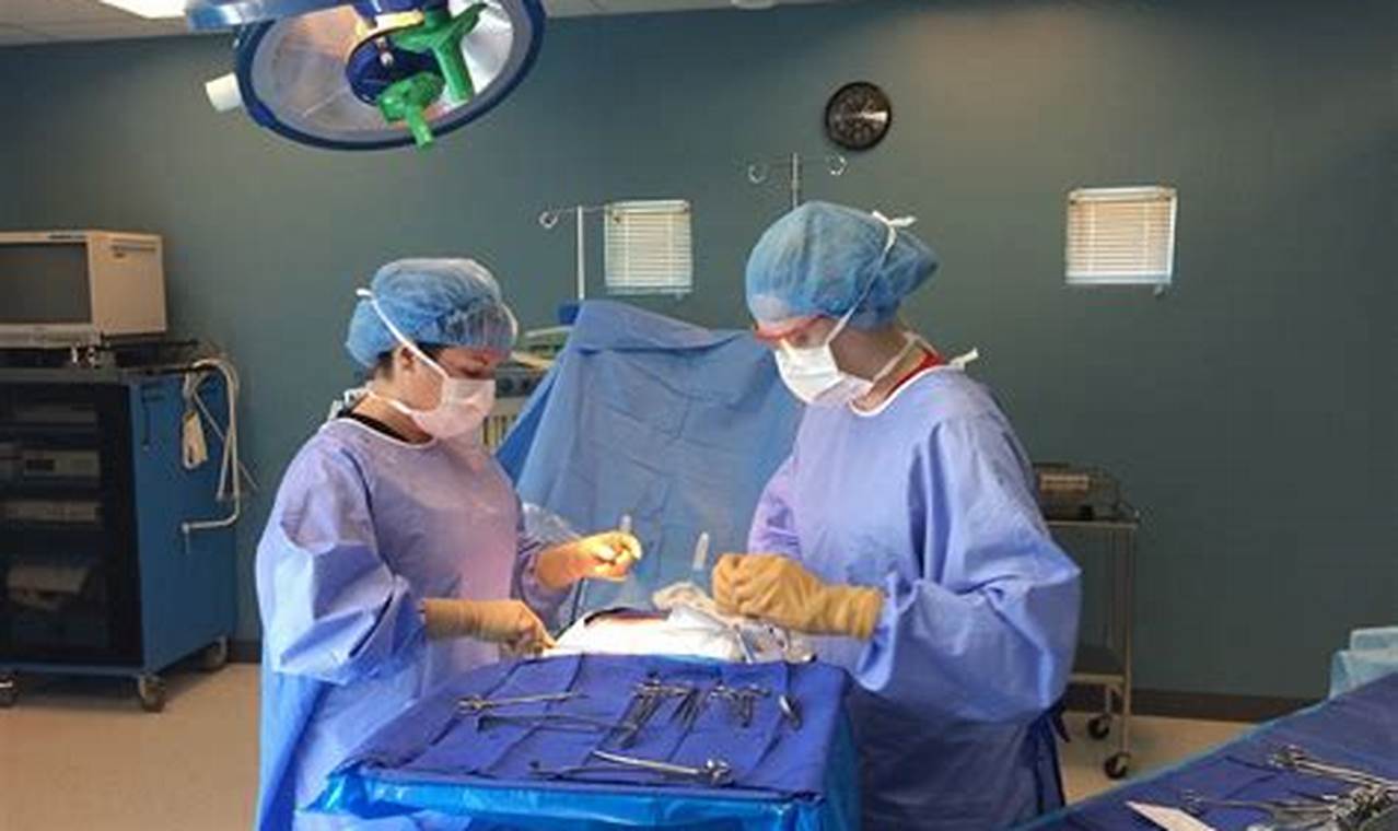 accredited surgical tech schools online