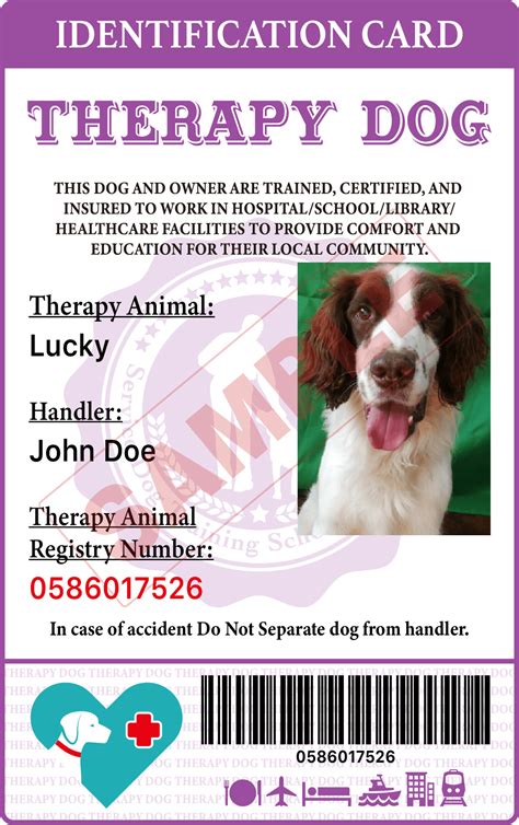 accredited dog trainer courses uk