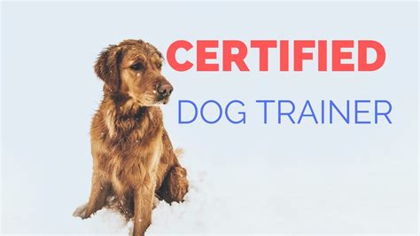 accredited dog trainers near me