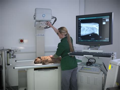 accredited online radiography programs