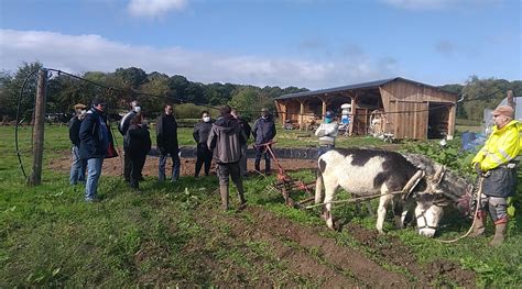 accueil à la ferme