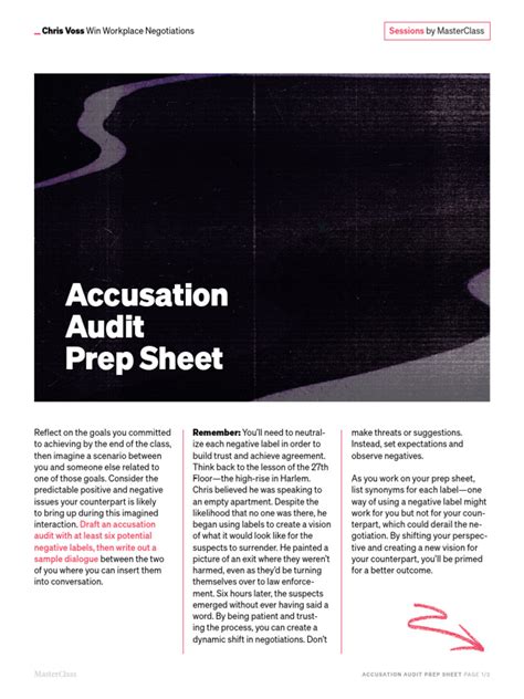 accusation audit examples pdf