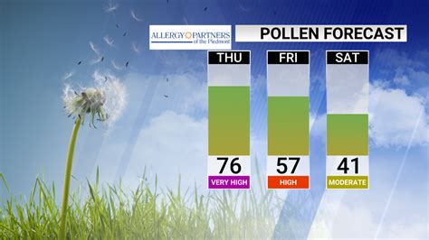 accuweather salisbury nc pollen