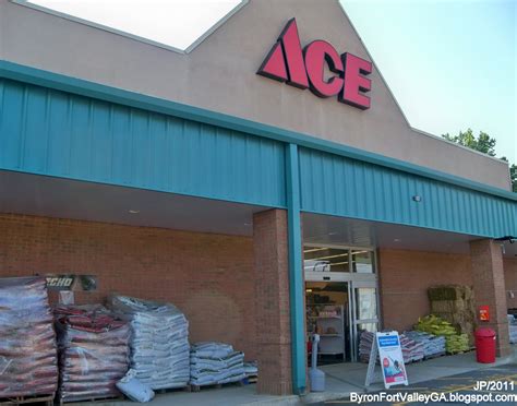 ace hardware byron ga