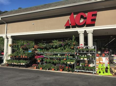 ace hardware in georgia