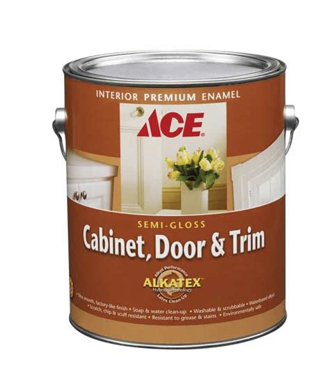 Ace Hardware Paint Interior