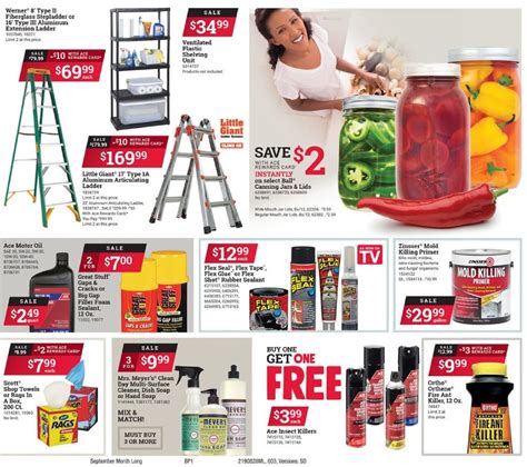 ace hardware products search