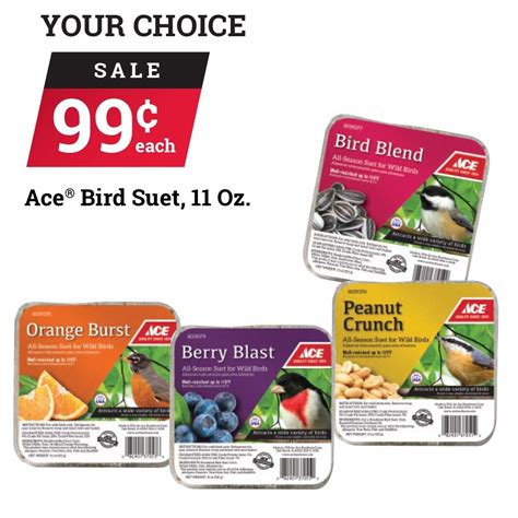 Ace Hardware Suet Cakes