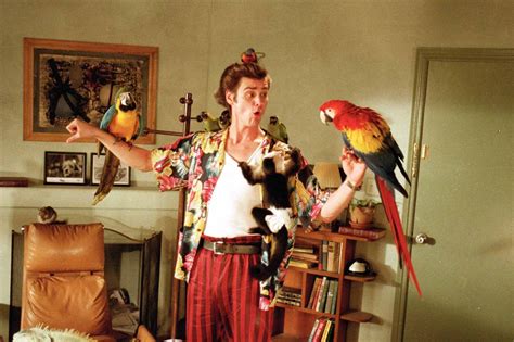 ace ventura pet detective scenes