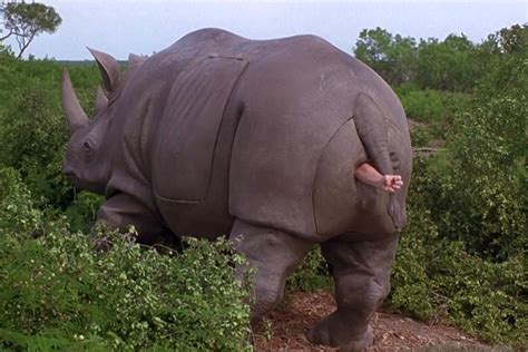 ace ventura rhino butt