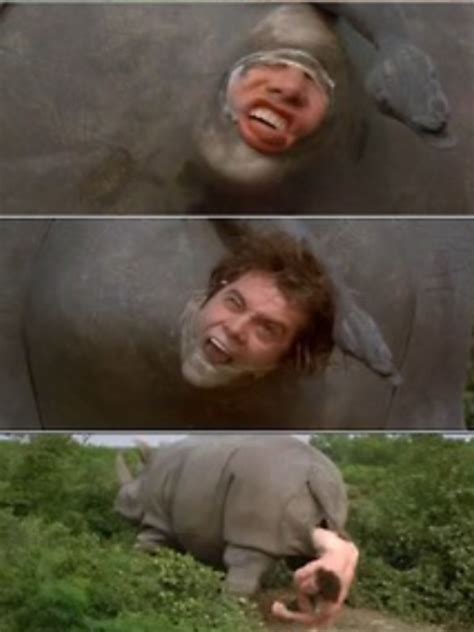 ace ventura rhino meme