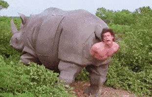 ace ventura rhino scene gif