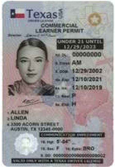 aceable driving permit texas