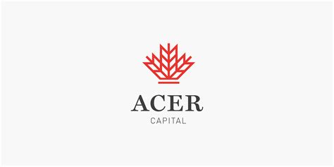 acer capital group