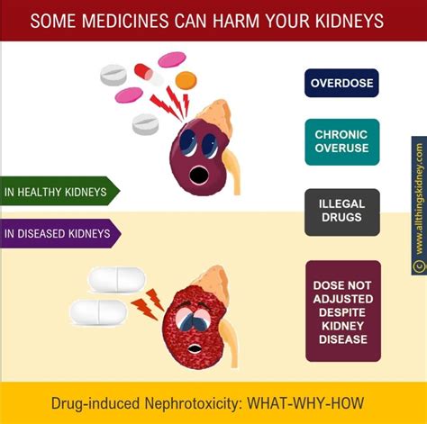 Acetaminophen Effects On Kidneys