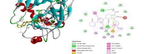 Acetaminophen Interaction Apixaban