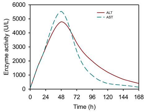 Acetaminophen Liver Enzyme Elevation