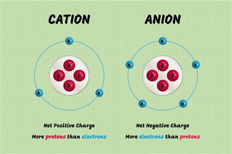 Do You Know How to Tell Cation and Anion Ions Apart? Chemistry