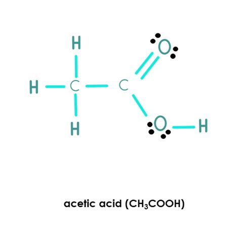acetic acid lewis acid